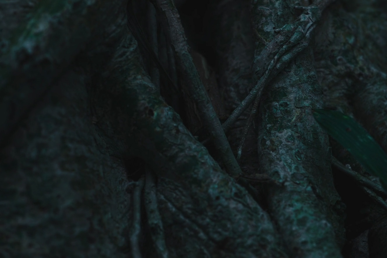Alien Trees